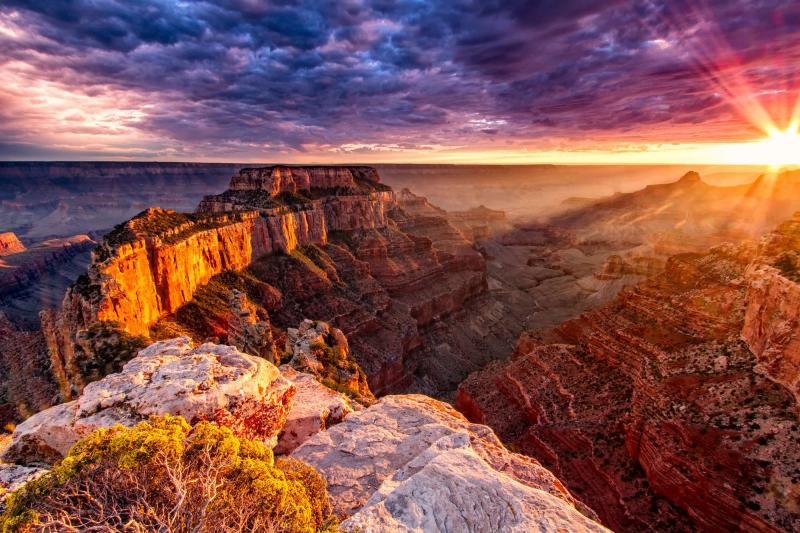 Painted Earth